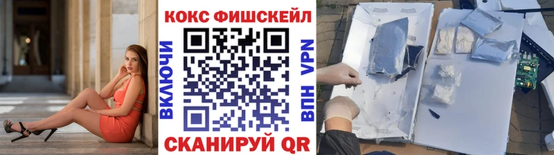 Cocaine Fish Scale  Купить закладки  Вышний Волочёк 