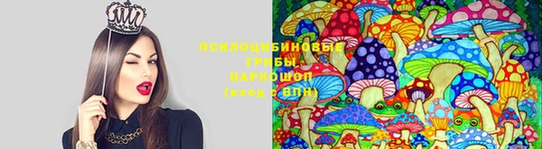ALPHA-PVP Киреевск