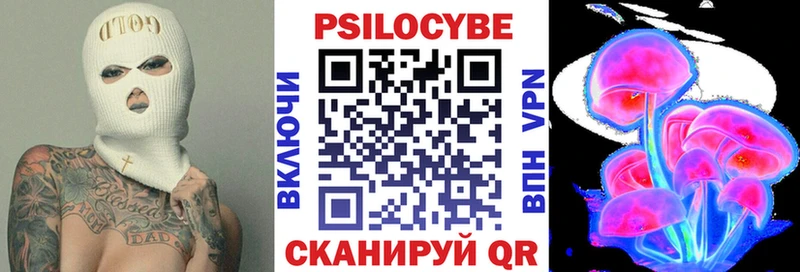 Купить где  Вышний Волочёк  Псилоцибиновые грибы GOLDEN TEACHER 